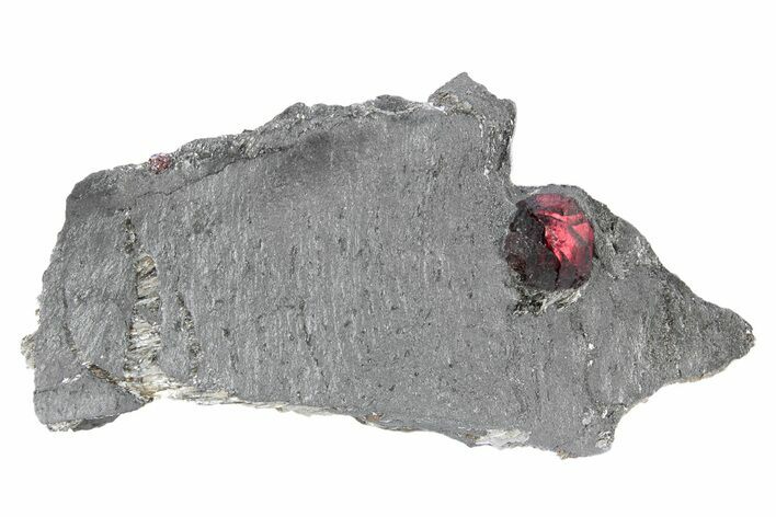 Red Embers Garnet in Graphite - Massachusetts #301139